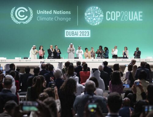 Climate conference in Dubai (COP28)